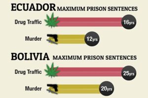 drug sentences