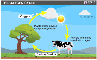 Global Warming and Carbon Dioxide is a reasonable and scientific explanation about the relationship of carbon dioxide and our climate.