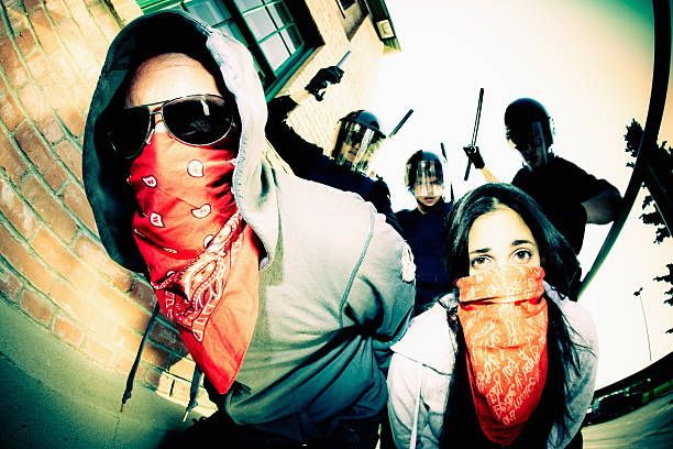 Let the Government do Its Job Let the Government do Its Job examines the simple premise, let government do its job. The Congress makes the laws and the executive branch enforces those laws. When that is stopped, frustrated or opposed, we descend into lawlessness.