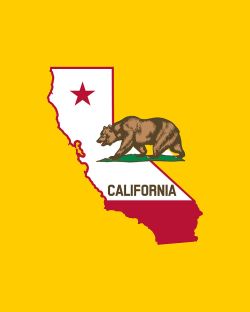 No Kings versus Nobody is above the Law examines Gavin Newsom and California Democrats in the "nobody is above the law" and no kings.